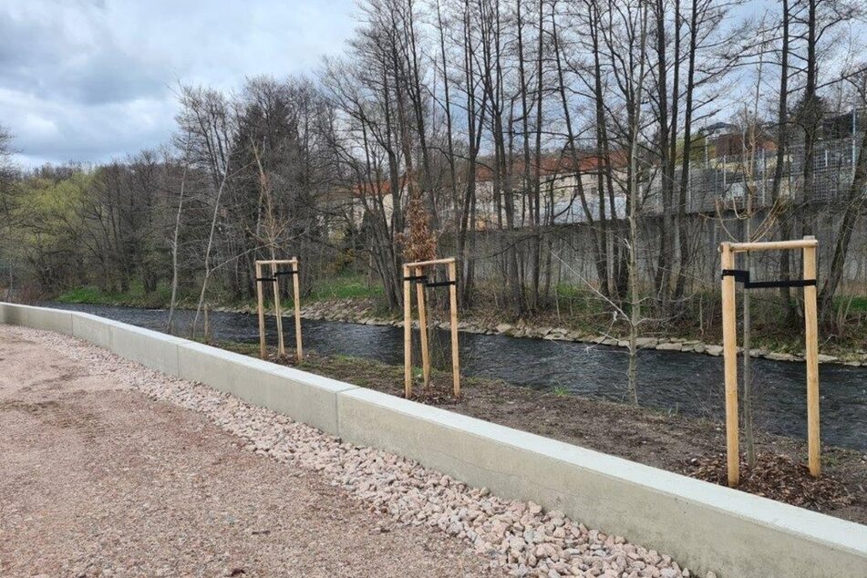 Am Schwarzwasser in Schwarzenberg wurde eine neue Hochwasserschutzwand fertiggestellt.