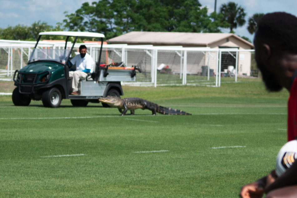 The Toronto FC shared that they received a visit of one of Florida's most famous representatives during training.
