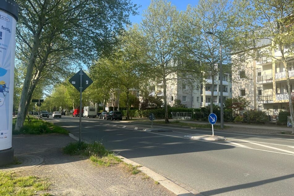 In diesem Bereich soll der Mann den Baumstamm abgelegt haben.