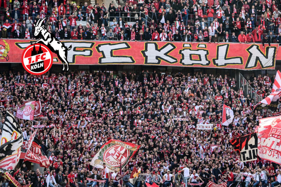 Mitten auf der Tribüne! Diese wilde Aktion von Fan des 1. FC Köln sorgt für Wirbel im Netz