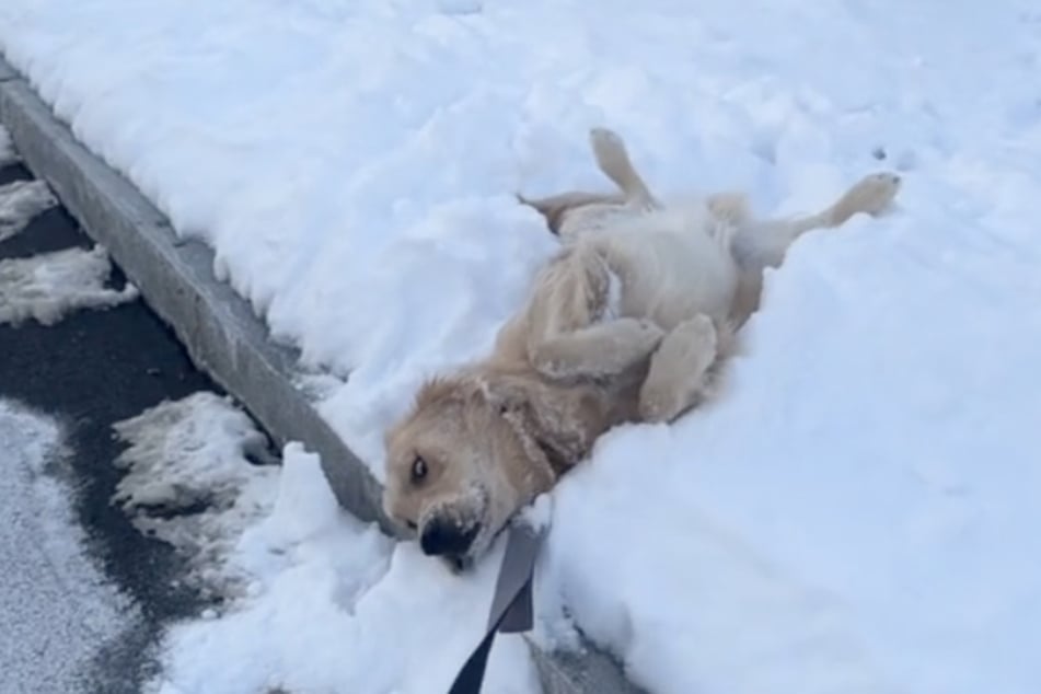 Brody didn't want to go home after the round.