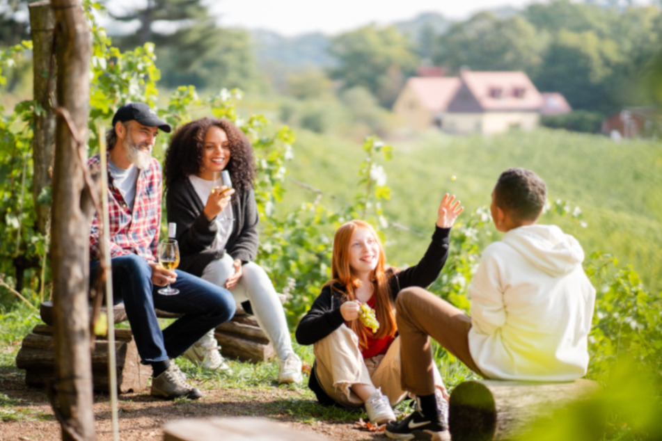 Das Dresden Elbland wird während der Wein- und Winzerfeste zu einem Erlebnis für die ganze Familie.