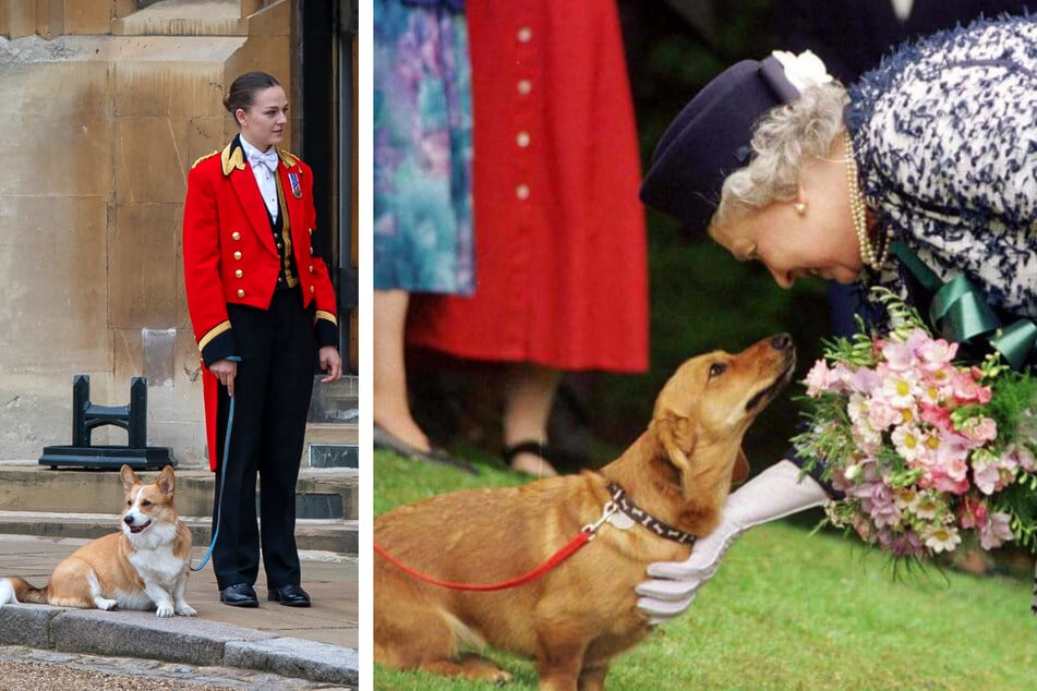 Die Hunde der Königin: Diese lustigen Namen gab Queen Elizabeth II. ihren Corgis