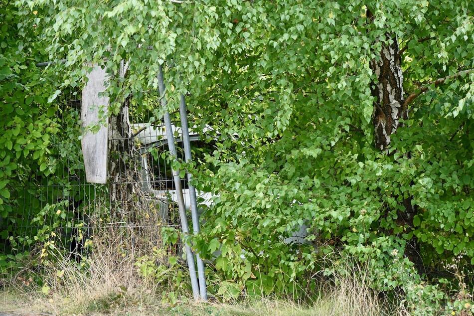 Wer den Trabanten aus alten Zeiten finden möchte, muss ganz genau hinschauen.