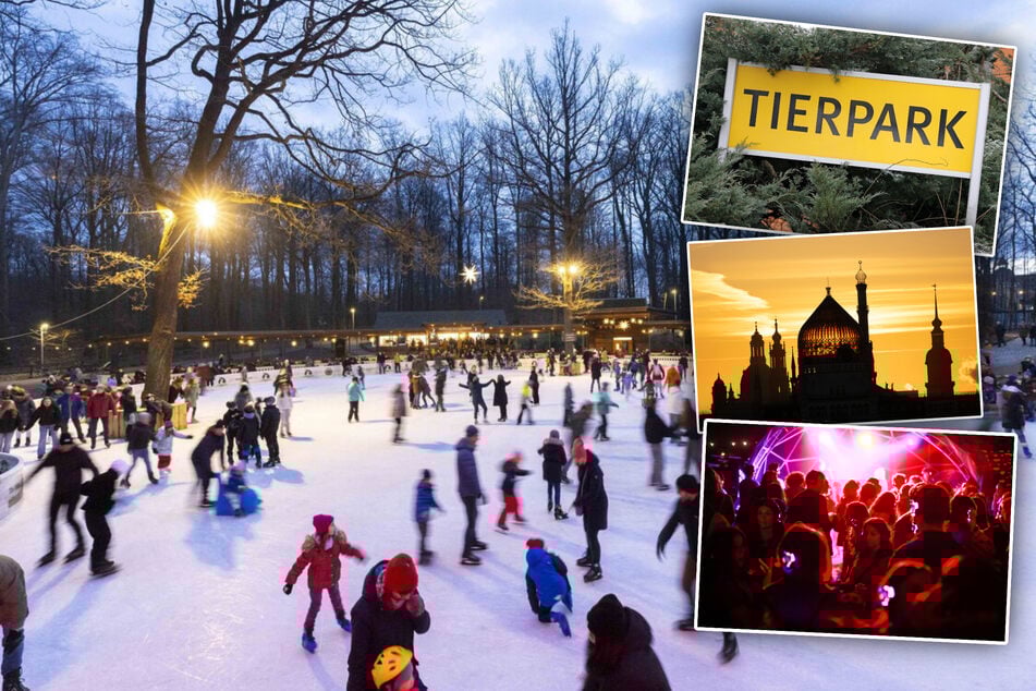 Dresden: Noch nichts vor am Samstag? Diese 8 Tipps helfen Euch