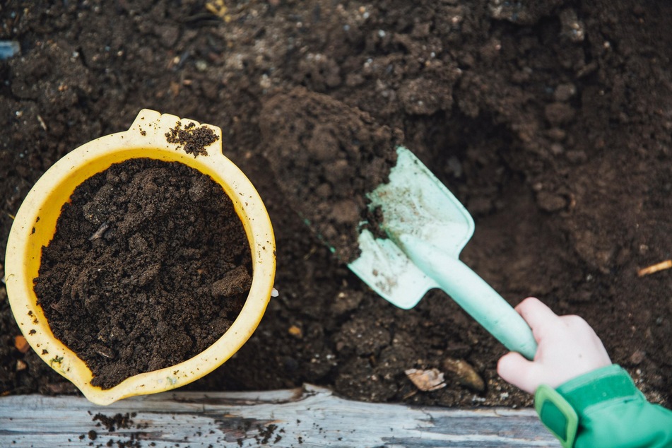 Can you reuse potting soil each new planting season?