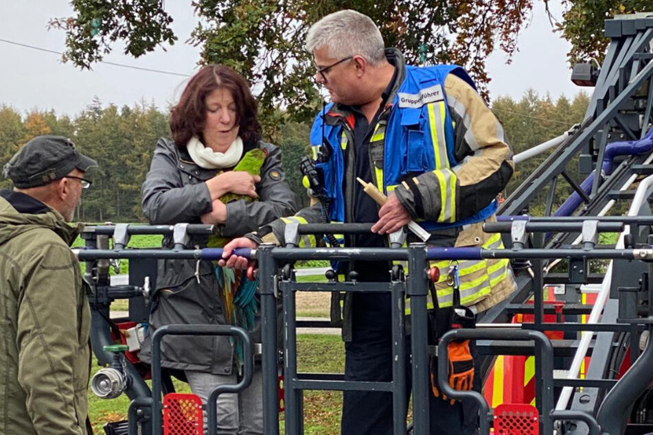 Die Feuerwehr in Bocholt wurde am Sonntagmorgen zu einem tierischen Rettungseinsatz gerufen. Ein Ara war entflogen und musste aus 30 Metern Höhe gerettet werden.