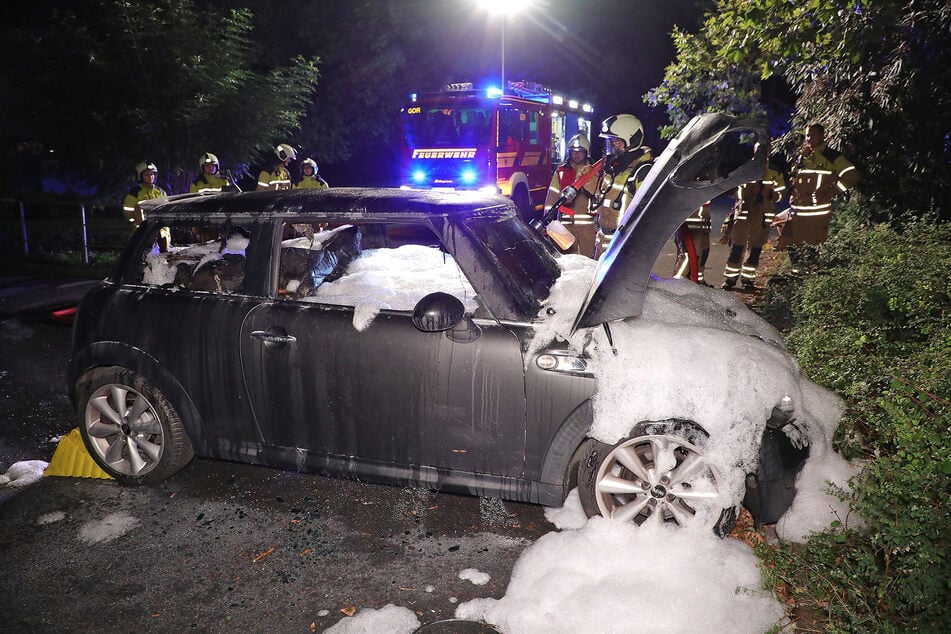 Mit Wasser und Schaum erstickte die Feuerwehr die Flammen.