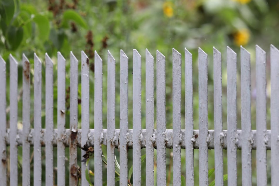 Streit unter Nachbarn: So viele Menschen sind dabei 2024 in Hessen gestorben