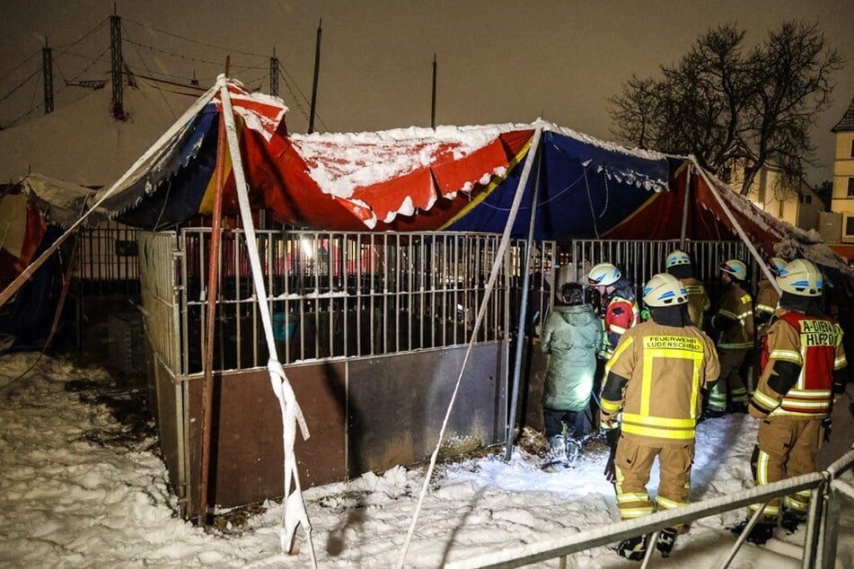 Die Feuerwehr rette die Tiere aus dem Zelt.