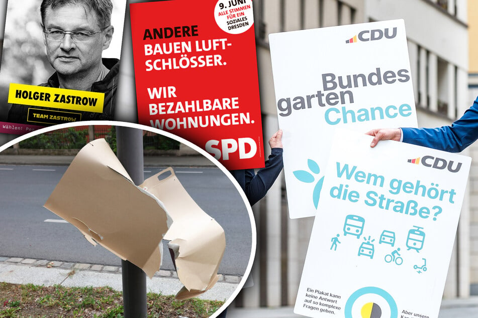Dresden: Dresden: Bei der Anzahl der Wahlplakate gibt's schon Sieger