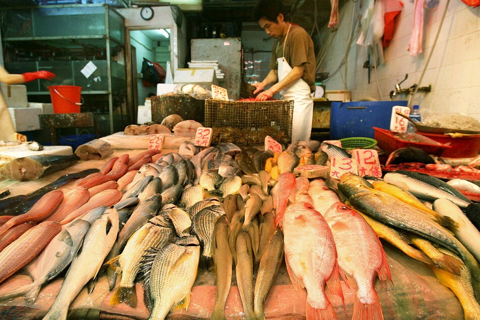Ein Rentner (84) kaufte für sich und seine Frau (83) Fisch vom Händler ihres Vertrauens. Doch es war tödlicher Kugelfisch. (Symbolbild)