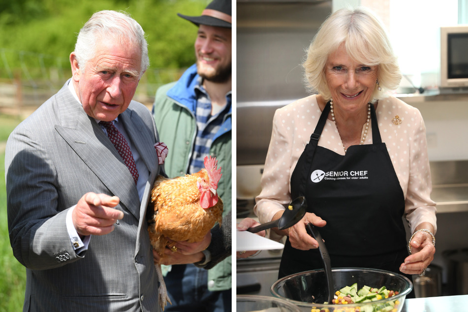 Bei König Charles (74) brauchen Hühner fast nicht mehr befürchten, dass sie im Kochtopf landen. Königsgemahlin Camilla (75) muss eigentlich nur noch für den guten Zweck an den Herd.