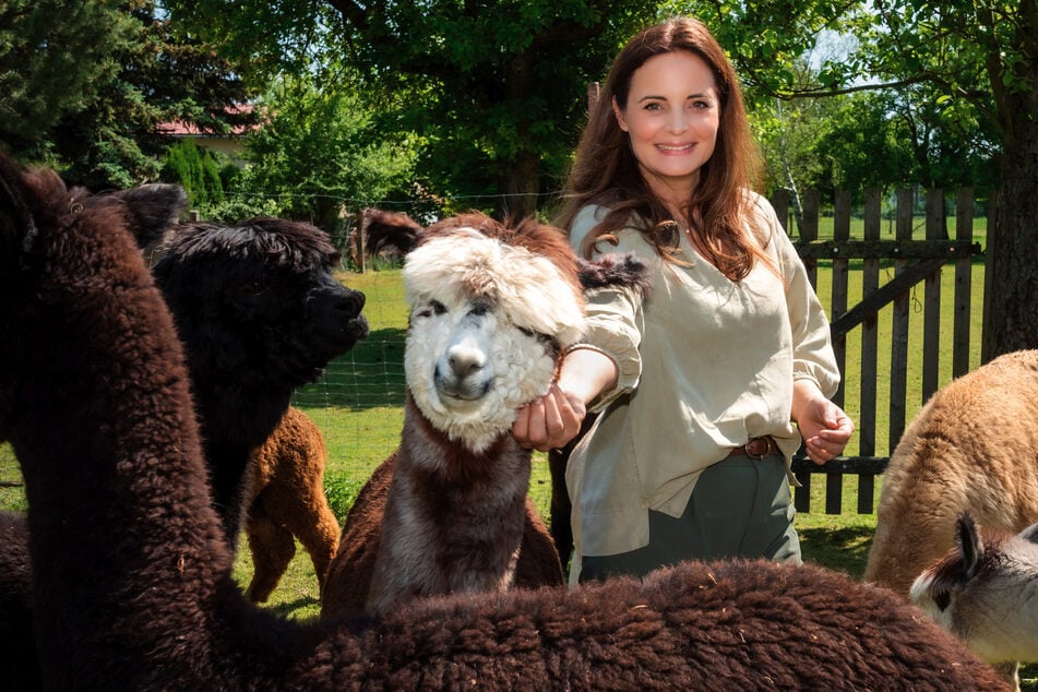 In der beliebten Serie kümmert sich Dr. Susanne Mertens um die Tiere im Leipziger Zoo.