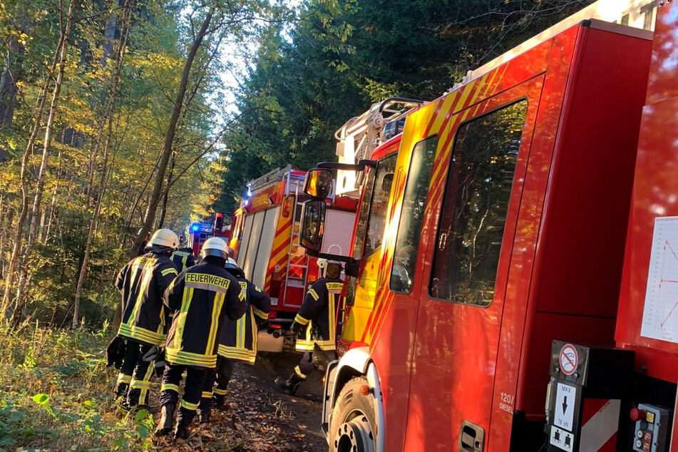Feuerwehreinsatz an der Talsperre Werda: Am Sonntag stürzte hier eine Person von einem Kletterfelsen.