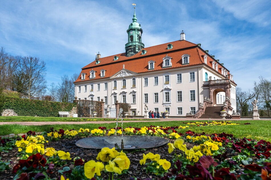 In den Schlosspark von Lichtenwalde zieht bald Gemüse ein.