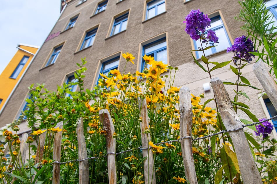 "bunte butze" ist ein CO2-neutrales und soziales Mehrgenerationenhaus.