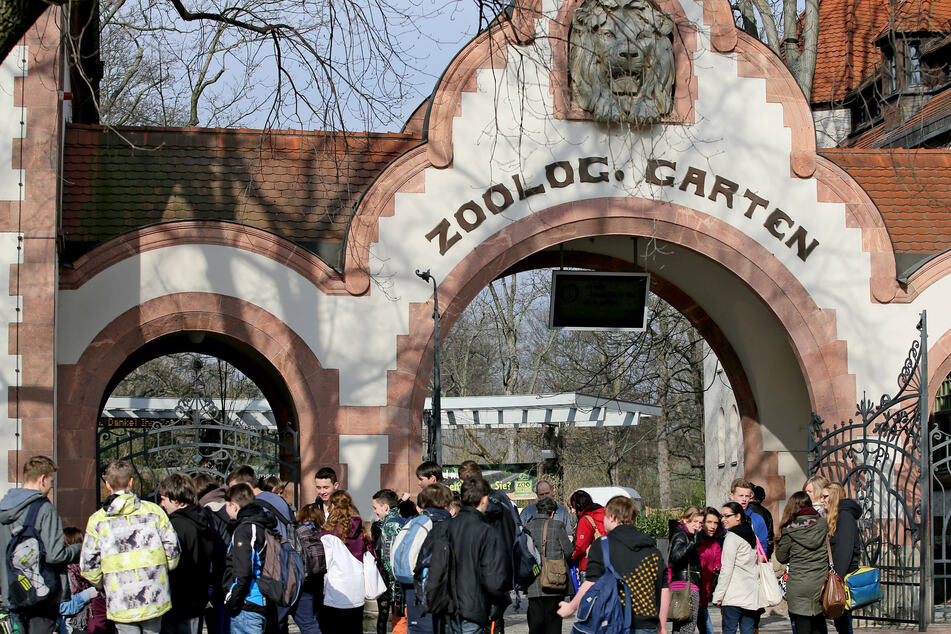 Direkt gegenüber vom Leipziger Zoo machte sich der Dieb an abgestellten Fahrrädern zu schaffen. (Archiv)