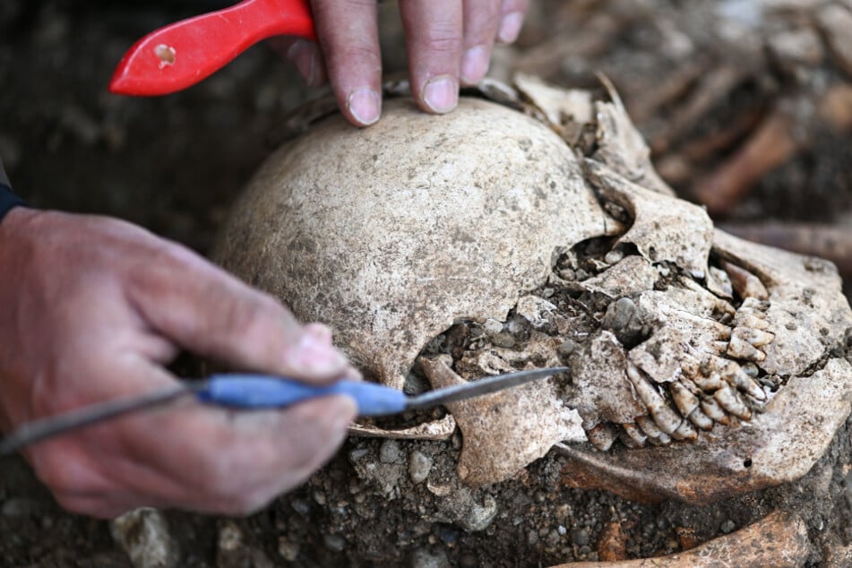 Kreisarchäologe und Grabungsleiter Jürgen Hald gräbt Teile von Skeletten an der historischen Hinrichtungsstätte unweit des Gnadensees (Teil des Bodensees) aus.