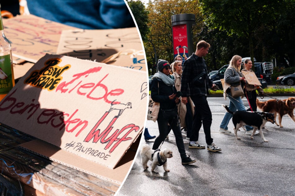 Hamburg Veranstaltungen: "Paw Parade 2025": Hunderte Menschen und Hunde ziehen durch die Stadt
