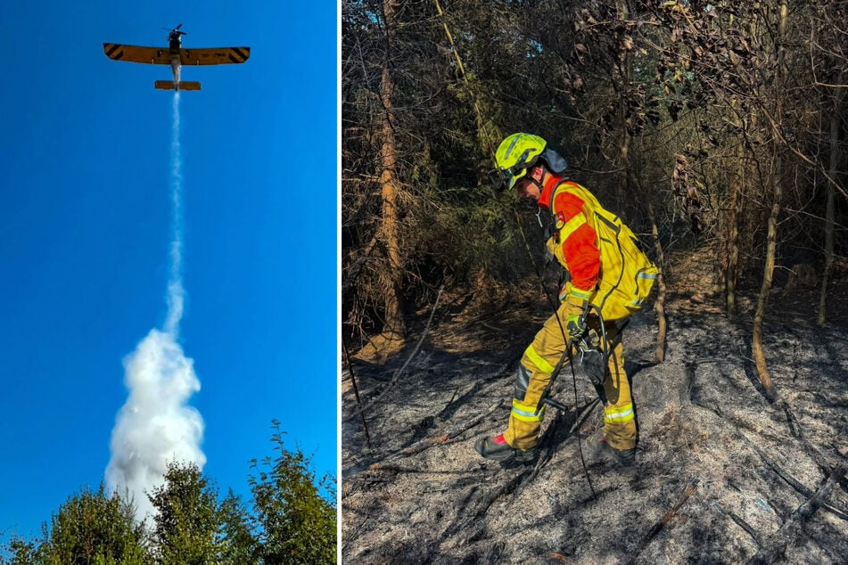 Nach dem Brand nahe der A7 in Hann. Münden konnten drei Tatverdächtige ermittelt werden.