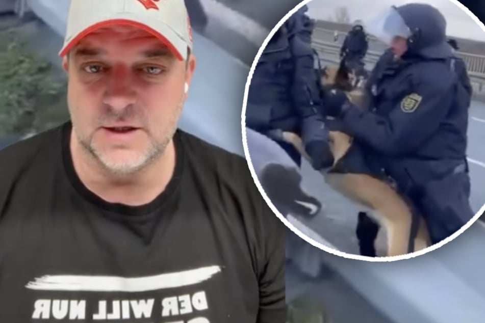 Martin Rütter (54) hat das Video im Hinblick auf das Verhalten der Hunde eingeschätzt.