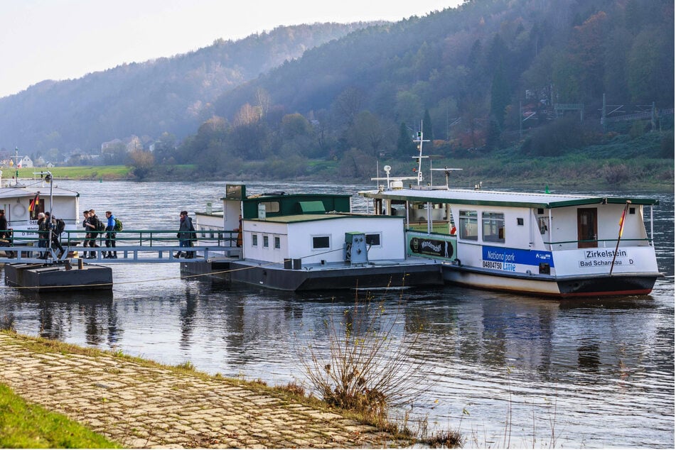 Nach Brückensperrung: Elbfähren jetzt kostenlos!