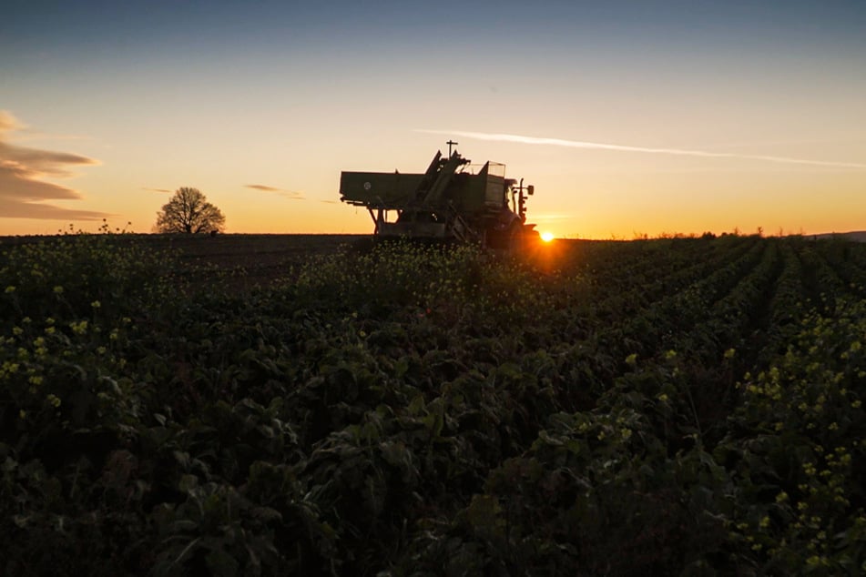 Bei dieser Sonnenuntergangs-Idylle kann man die Sorgen rund um die Landwirtschaft schon einmal für ein paar Augenblicke vergessen.