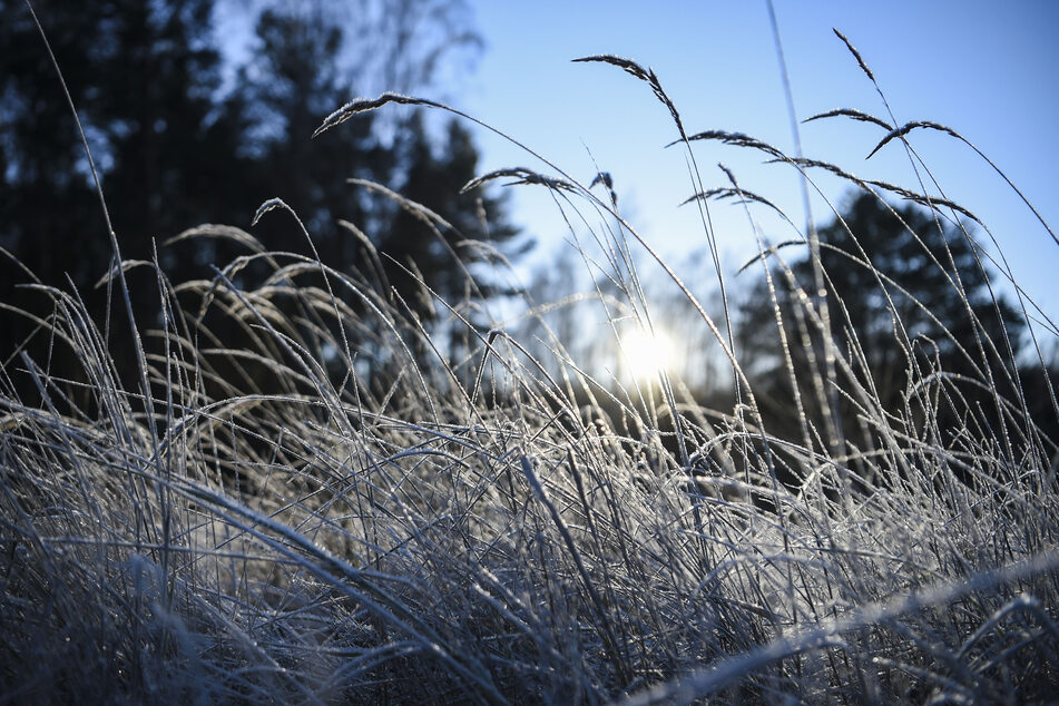 In der Mittwochnacht werden in Bodennähe außerhalb von Berlin bis zu minus vier Grad unter null erwartet.