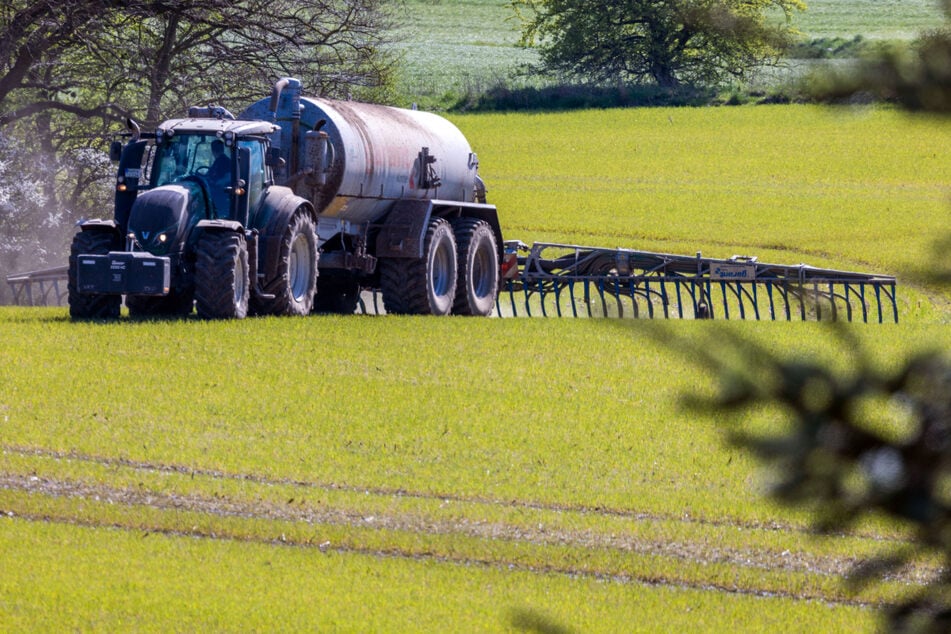 Die Camper ließen sich auf einem landwirtschaftlich genutzten Feld in den Vogesen nieder. (Symbolbild)