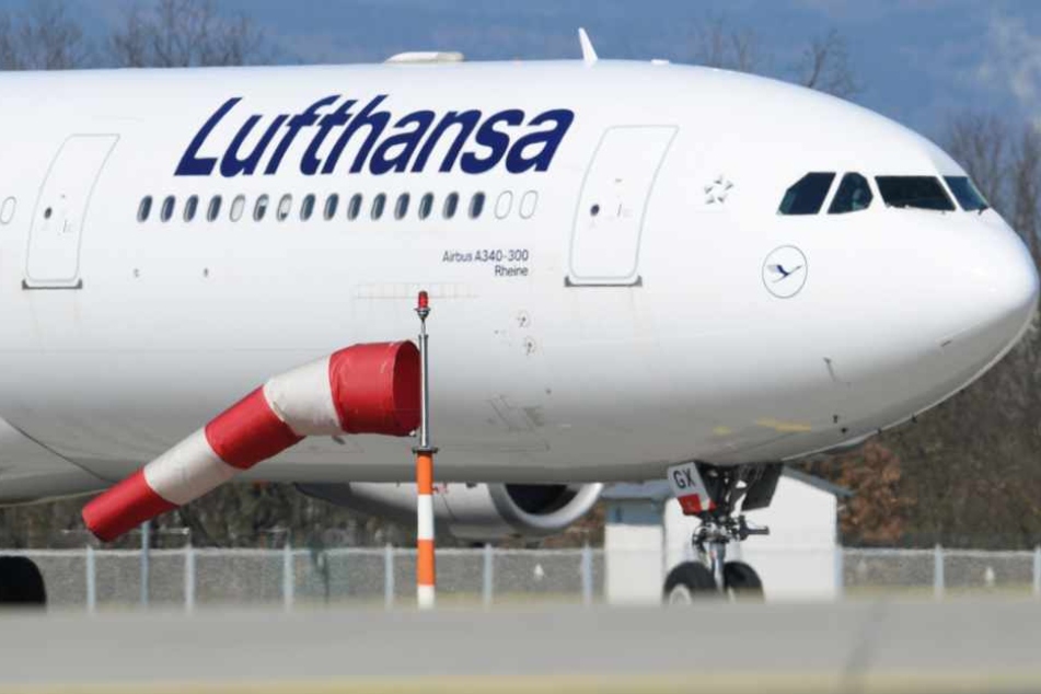 Frankfurt: Lufthansa-Passagierjet wird zum Frachtflugzeug und landet mit "heißer Ware"