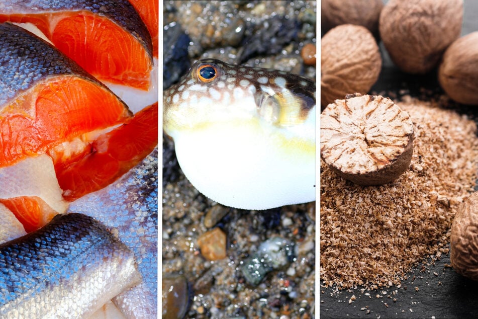 Was ist das giftigste Lebensmittel der Welt?