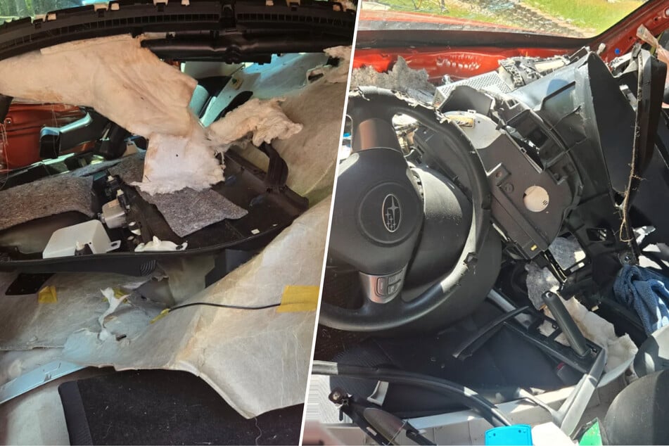 Family finds car completely destroyed: Then they discover who is inside