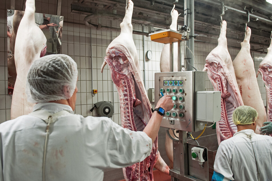 In Sachsen-Anhalt wird wegen der illegalen Einschleusung von Arbeitskräften in der Fleischindustrie ermittelt. (Symbolbild)