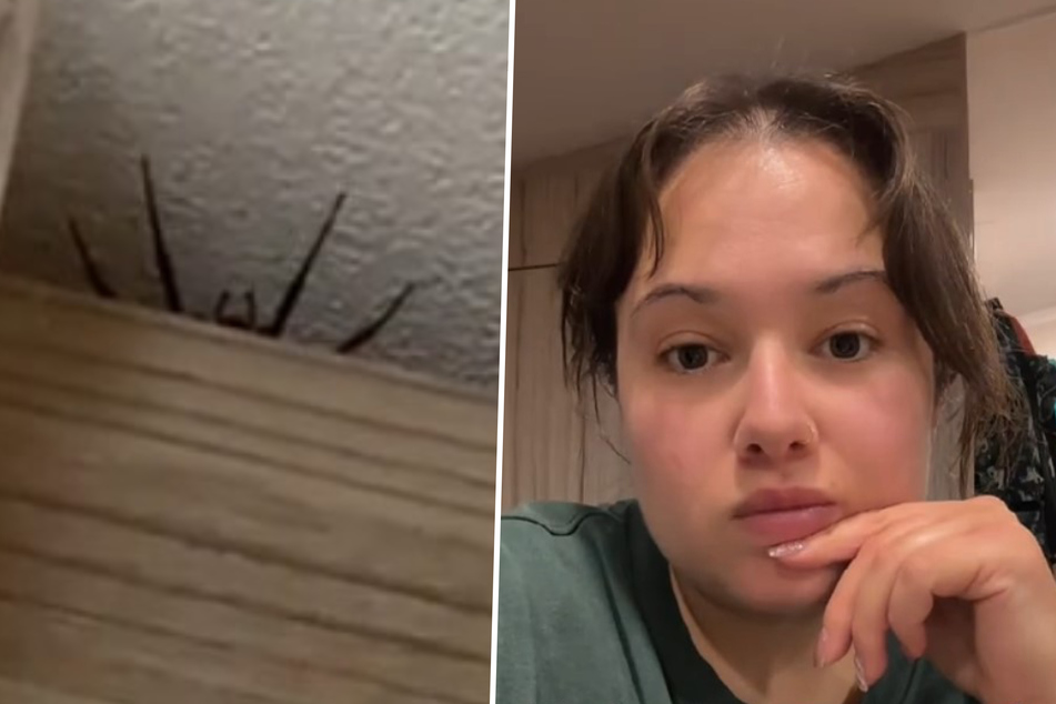 Live and let live! Ellinor Smith acted on this motto when she recently discovered a large spider in her room. Then something horrifying happened.