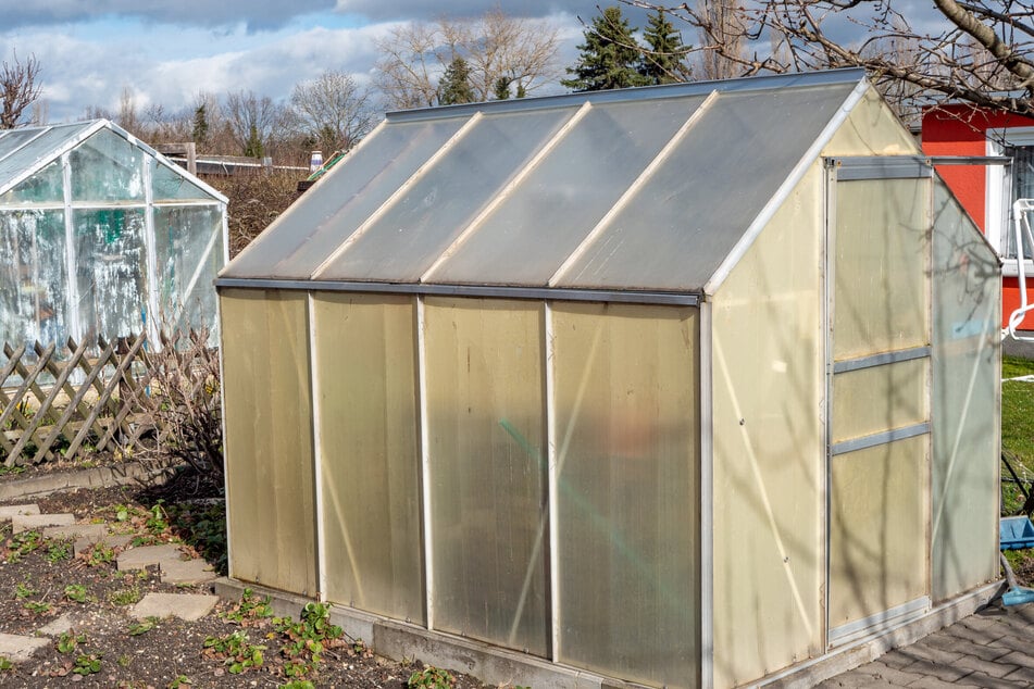 Um das Gewächshaus im Winter zu nutzen, lohnt es sich, es durch eine Reinigung vorzubereiten.