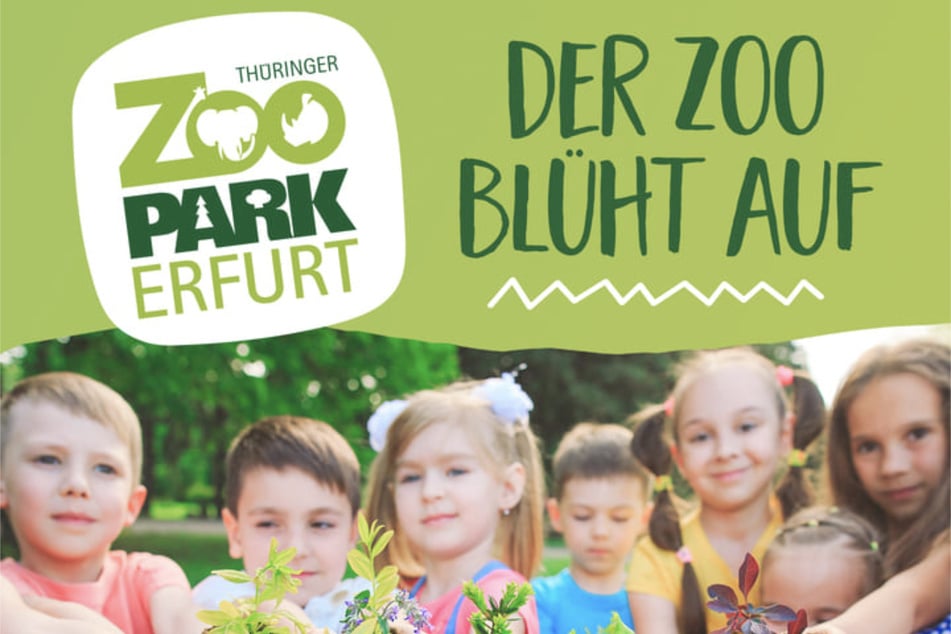 "Der Zoo blüht auf": Frühlingsfest lädt zum Mitmachen ein