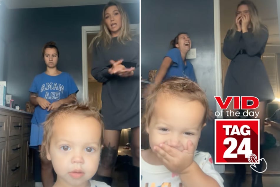 viral videos: Viral Video of the Day for November 9, 2025: Toddler steals the show during mom's Taylor Swift dance