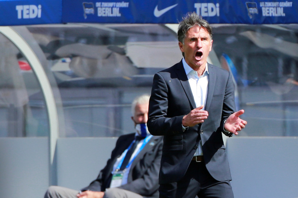 Bruno Labbadia (54) will den nächsten Heimsieg.