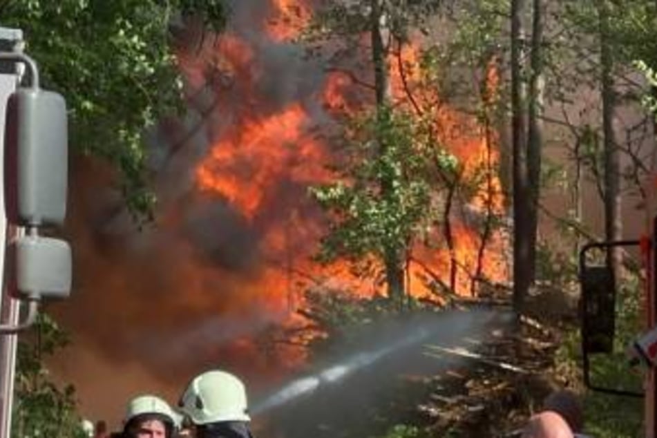 In Lindow (Ostprignitz-Ruppin) ist ein Feuer mehrerer in Brand geratener Holzstapel auf den Wald übergesprungen.
