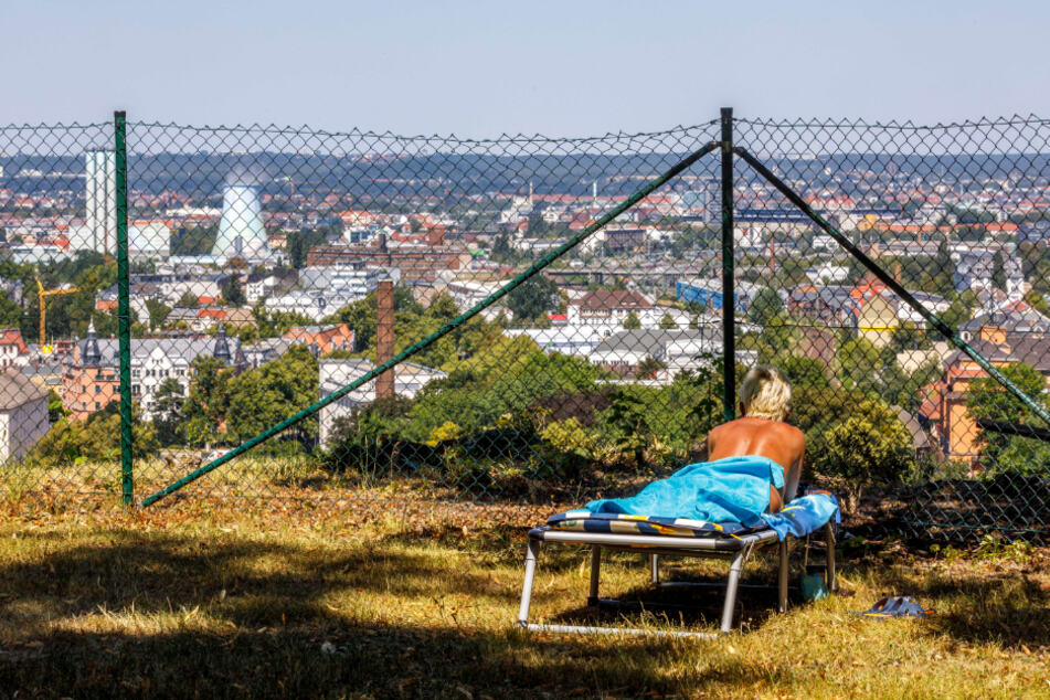 Mit herrlichem Blick auf Dresden kann sich in Dölzschen aktuell nur noch gesonnt werden.