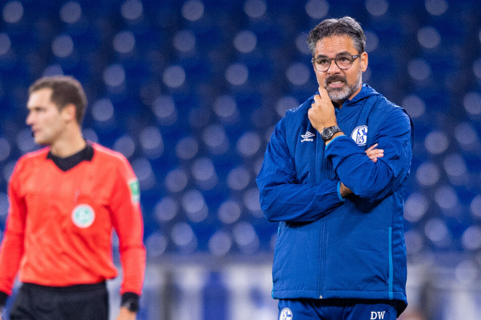 Die 1:3-Niederlage gegen Werder Bremen war zu viel für die Schalke-Bosse: Trainer David Wagner wird den Bundesligisten nicht länger betreuen.