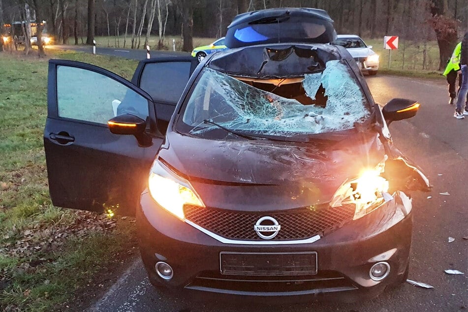 Pferd rennt in Auto: Tier tot, Fahrerin im Krankenhaus