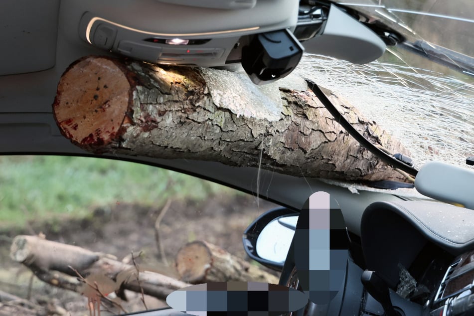 Unfall-Schock für Audi-Fahrer: Gewaltiger Baumstamm bohrt sich durch Windschutzscheibe