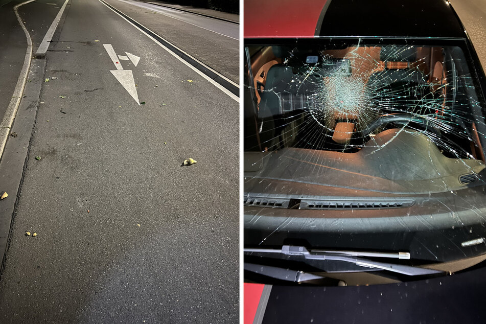 Aus dem Fenster geworfene Zwiebel zertrümmert Frontscheibe von fahrendem Auto