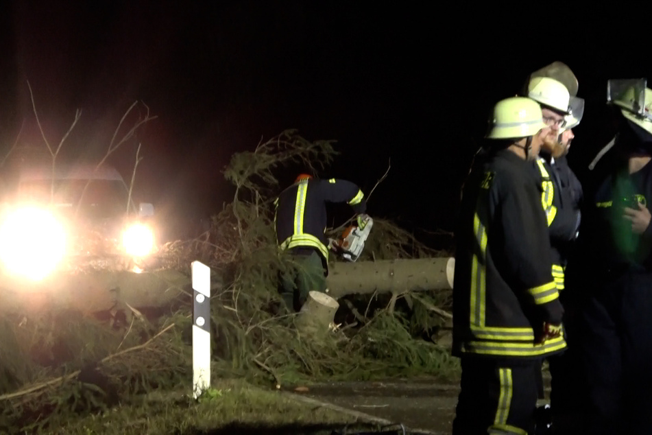 Im Landkreis Harz kippte ein Baum auf ein Auto.
