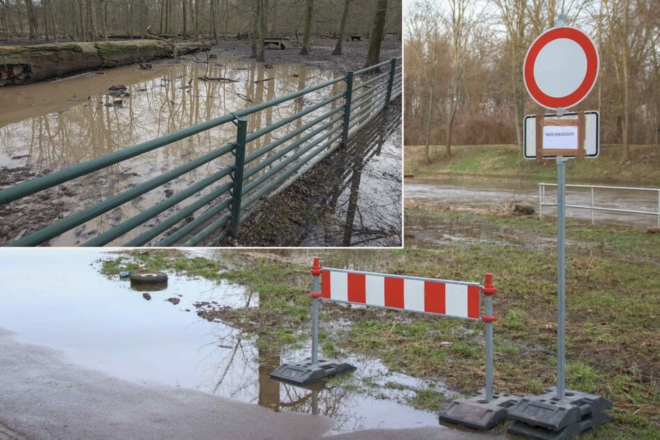 Leipzig: Hochwasser in und um Leipzig: Parthe und Pleiße mit Alarmstufe