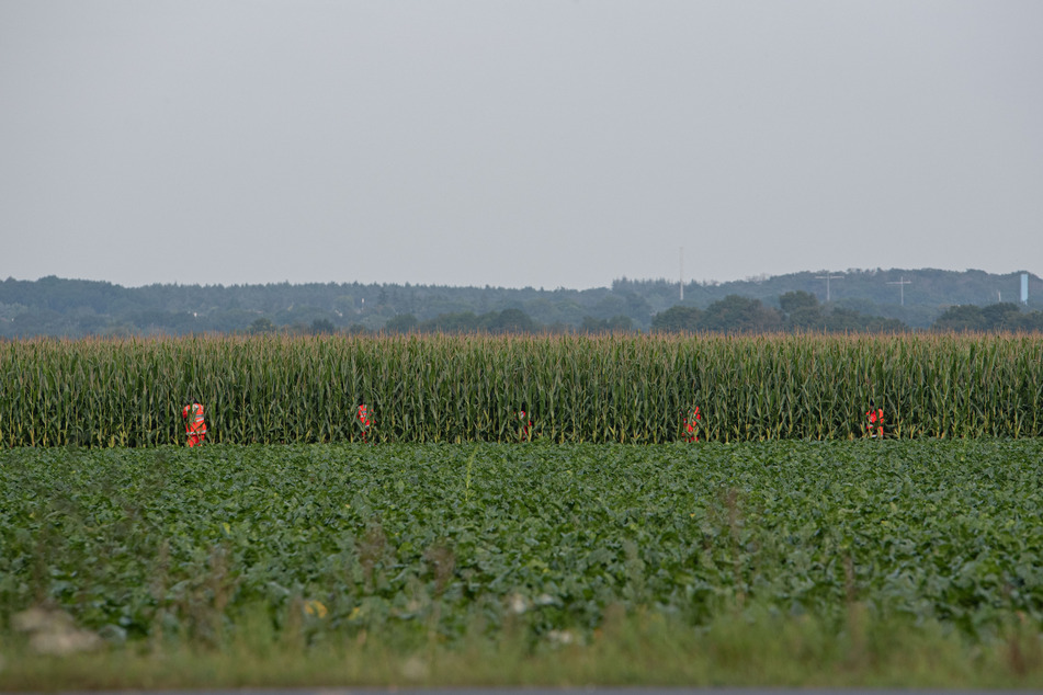 Die Beamten hatten die Unfallstelle und das angrenzende Feld nach einer möglicherweise verletzten Person abgesucht, jedoch niemanden gefunden.