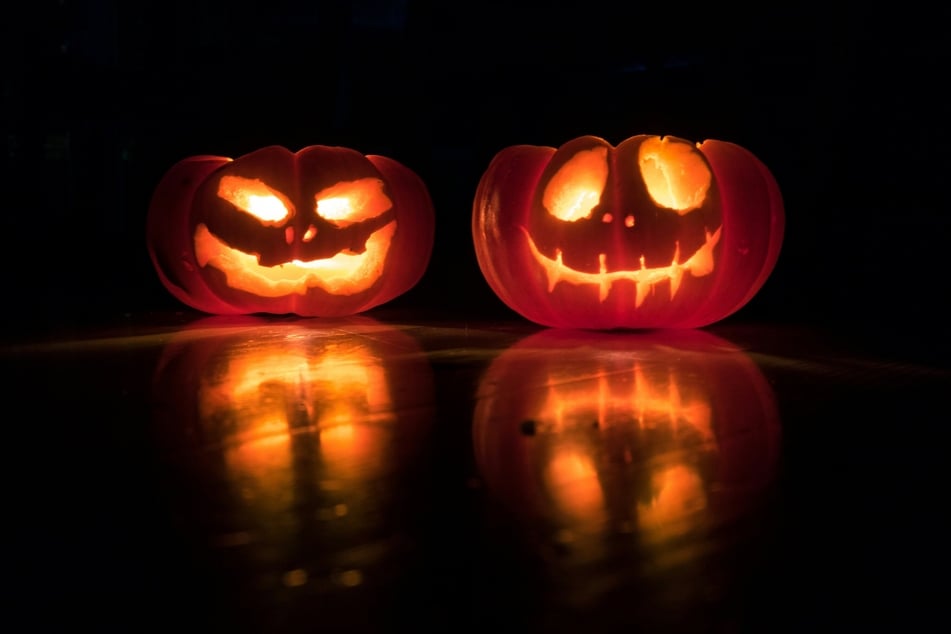 Kürbisse gehören zu Halloween wie Sonne zum Sommer.