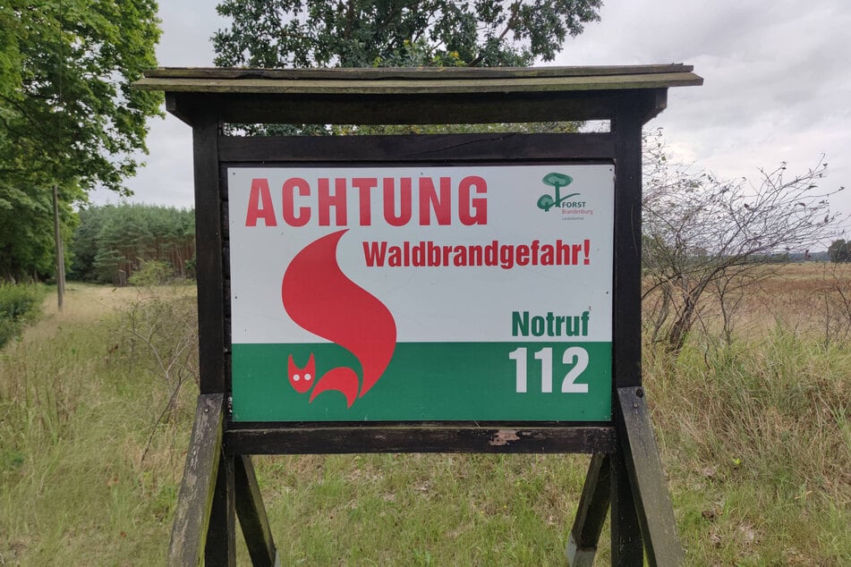 Die Saison hat wieder begonnen. Tagesaktuelle Meldungen gibt es auf der Internetseite von Sachsenforst.